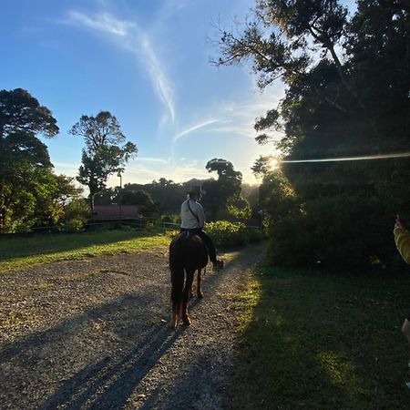 Rancho Makena Bed & Breakfast Monteverde Luaran gambar