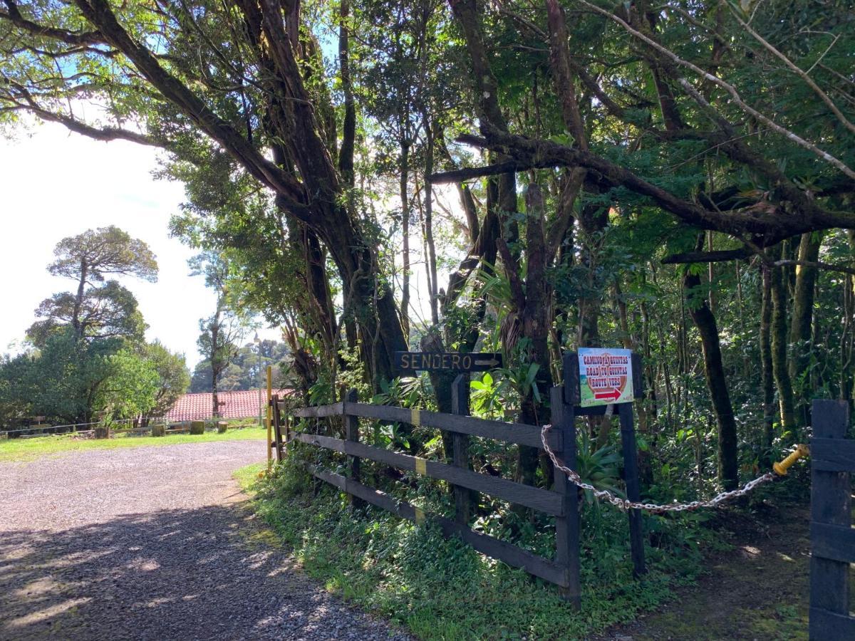 Rancho Makena Bed & Breakfast Monteverde Luaran gambar