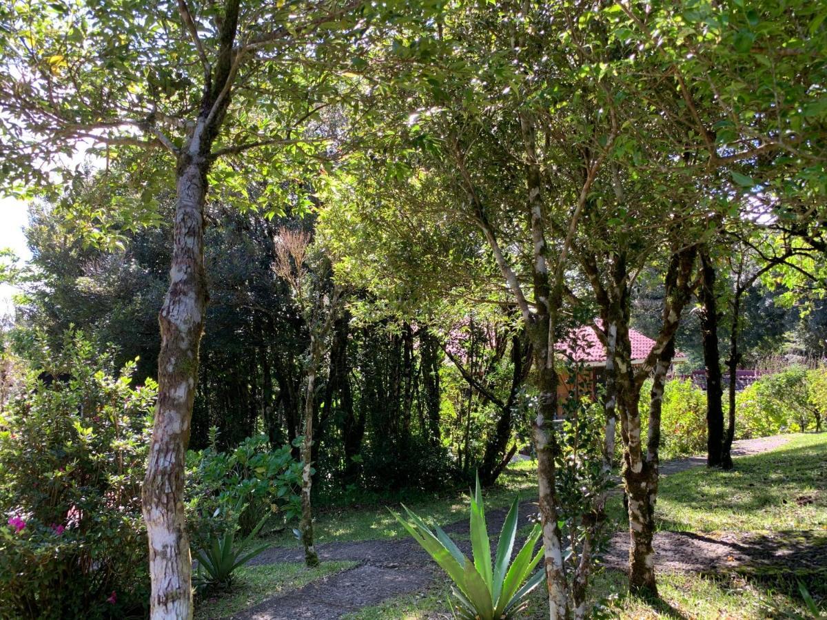 Rancho Makena Bed & Breakfast Monteverde Luaran gambar